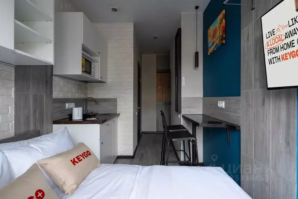 Студия Москва Электрический пер., 3/10С1 (10.0 м) - Фото 1