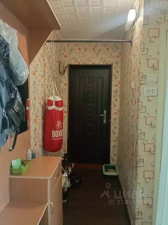 2-к кв. Хакасия, Сорск Усть-Абаканский район, ул. Кирова (42.0 м) - Фото 0