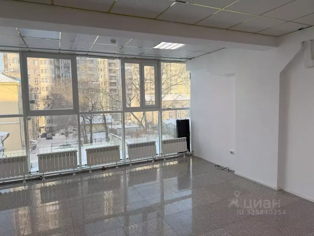 Помещение свободного назначения в Хабаровский край, Хабаровск ул. ... - Фото 2