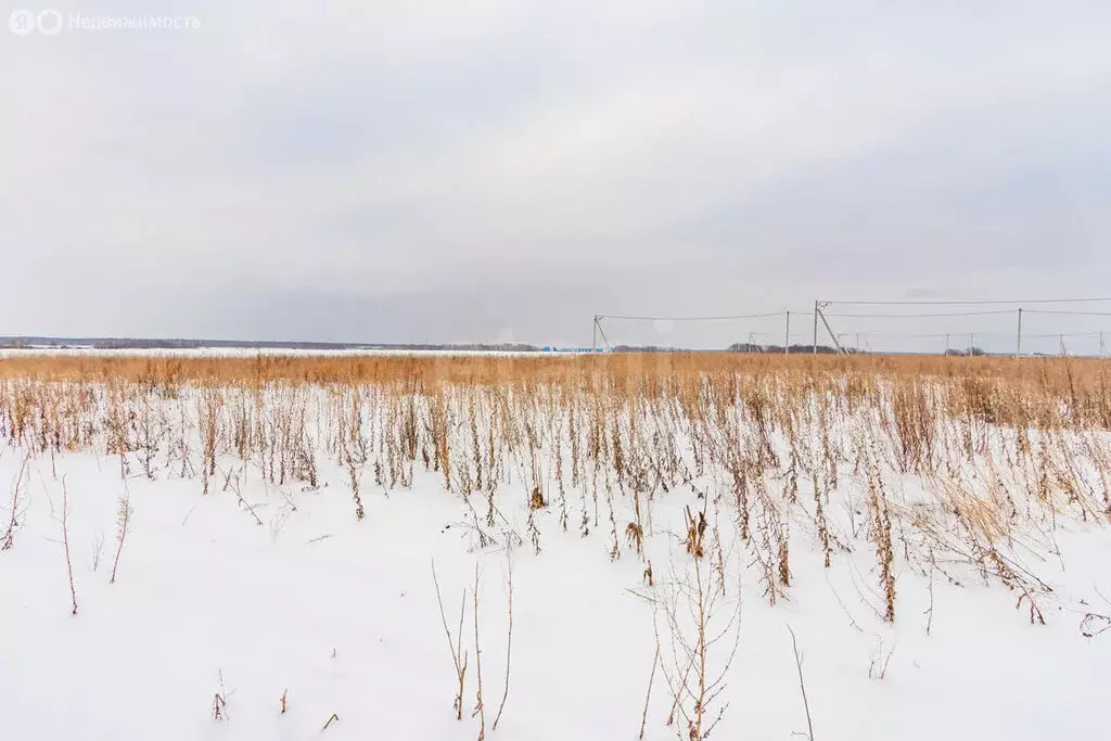 Участок в Тюменский район, деревня Малиновка (5.3 м) - Фото 1