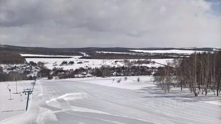 Участок в Оренбургская область, Оренбург городской округ, с. Пруды ул. ... - Фото 1