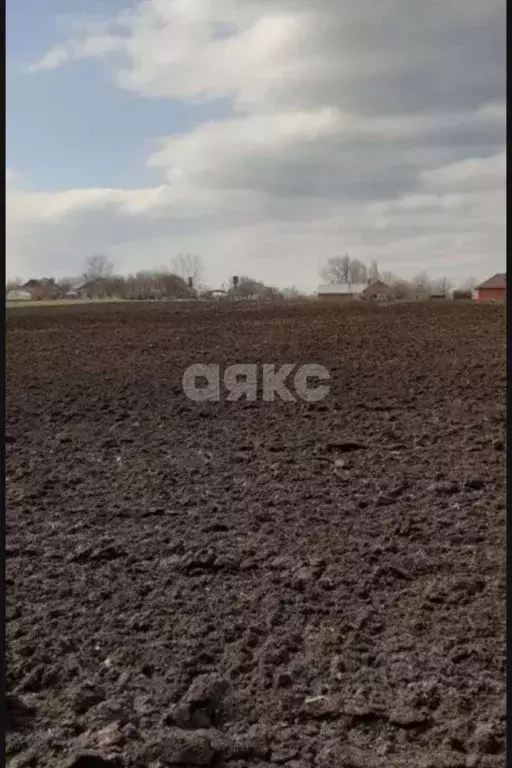 Участок в Краснодарский край, Кореновский район, Раздольная ст-ца ... - Фото 2