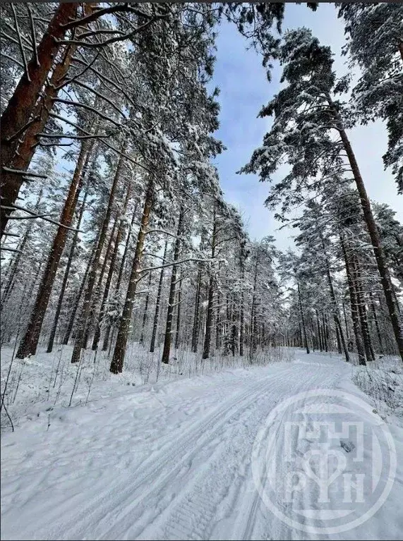 Участок в Ленинградская область, Выборгский район, Полянское с/пос, ... - Фото 1