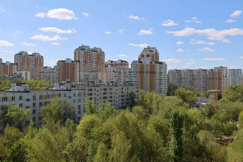 3-к кв. Москва ул. 50 лет Октября, 29 (64.0 м) - Фото 0