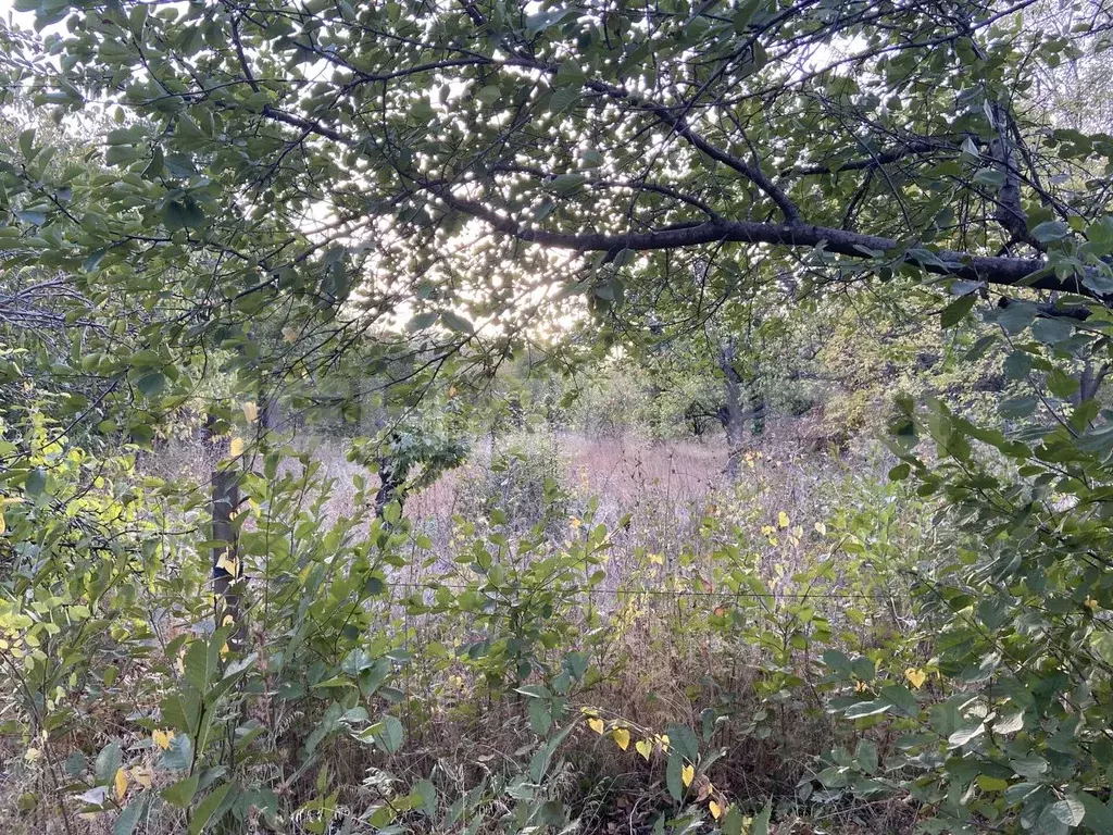 Участок в Ростовская область, Новочеркасск ул. Седьмая (4.0 сот.) - Фото 2