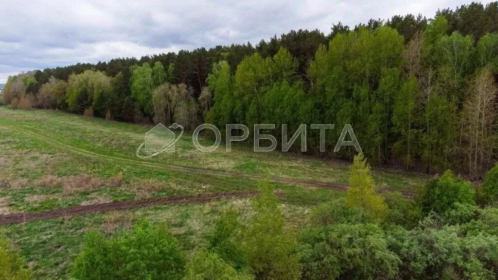 Участок в Тюменская область, Тюменский район, с. Салаирка  (9.0 сот.) - Фото 1
