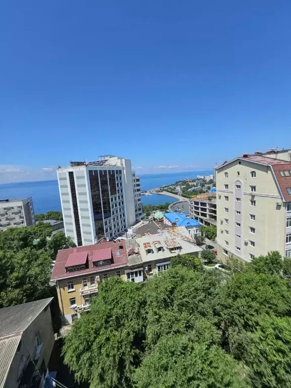 2-к кв. Приморский край, Владивосток Тигровая ул., 22 (52.0 м) - Фото 2