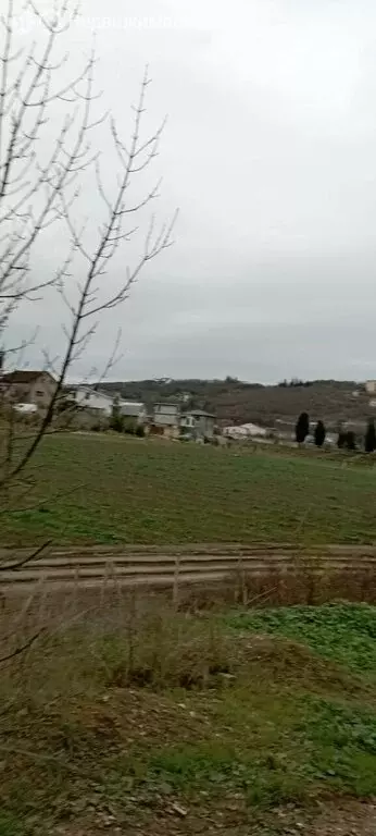 Участок в Алушта, Рябиновая улица (4.8 м) - Фото 2