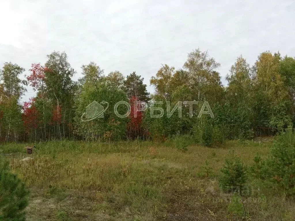 Участок в Тюменская область, Тюменский район, д. Ушакова Зеленая ул. ... - Фото 1