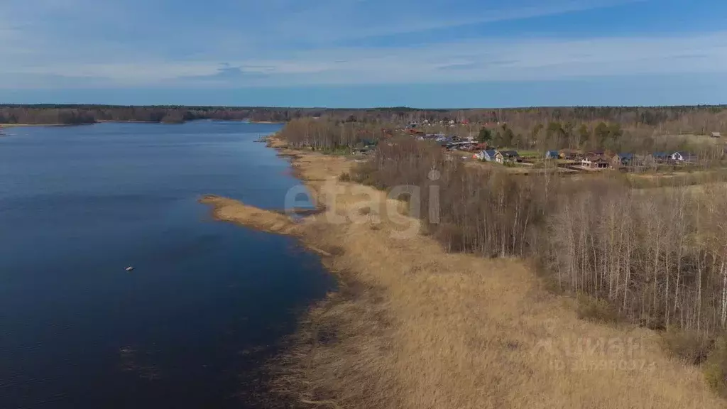 Участок в Ленинградская область, Приозерский район, Ромашкинское ... - Фото 0