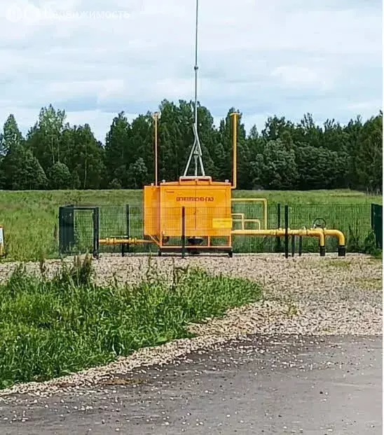 Участок в Ярославская область, Борисоглебский муниципальный округ, ... - Фото 2