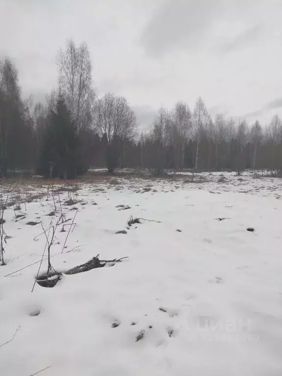 Участок в Московская область, Клин городской округ, д. Поджигородово  ... - Фото 0