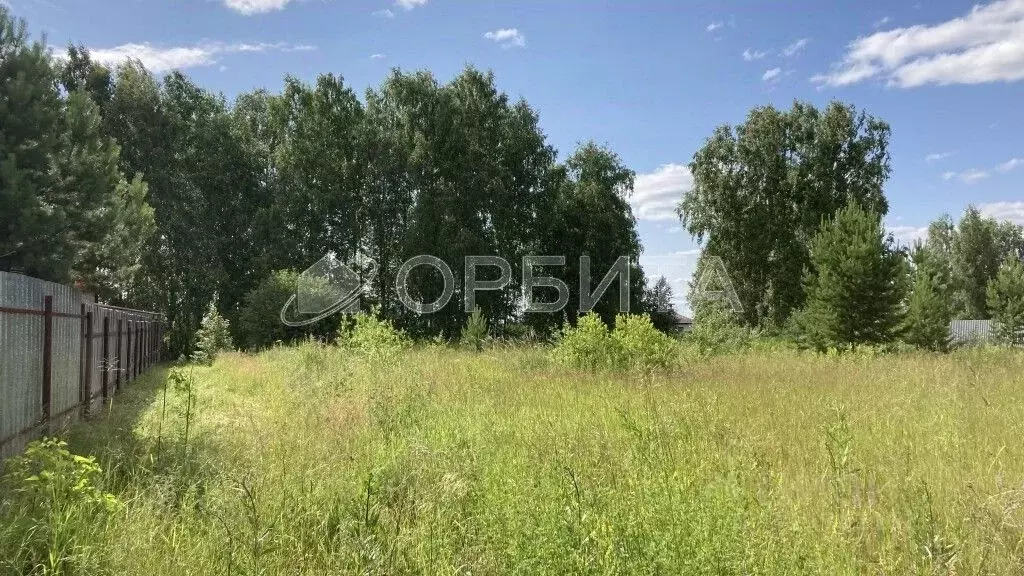 Участок в Тюменская область, Тюменский район, Новокаменский кп ул. ... - Фото 1