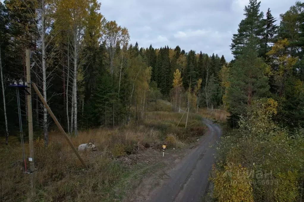 Участок в Карелия, Сортавальский муниципальный округ, пос. ... - Фото 1