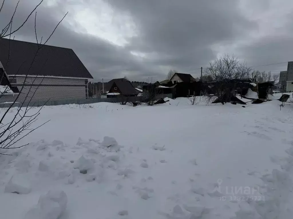Участок в Алтайский край, Барнаул городской округ, пос. Лесной пер. ... - Фото 1