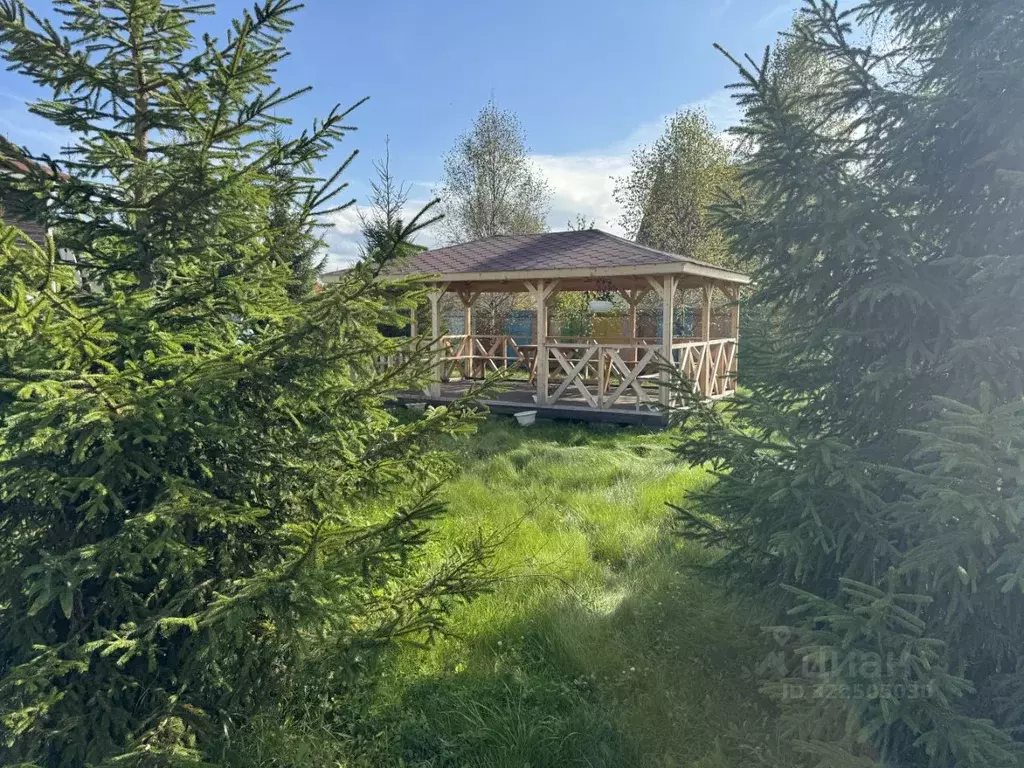 Участок в Московская область, Можайский муниципальный округ, Лесное 2 ... - Фото 2