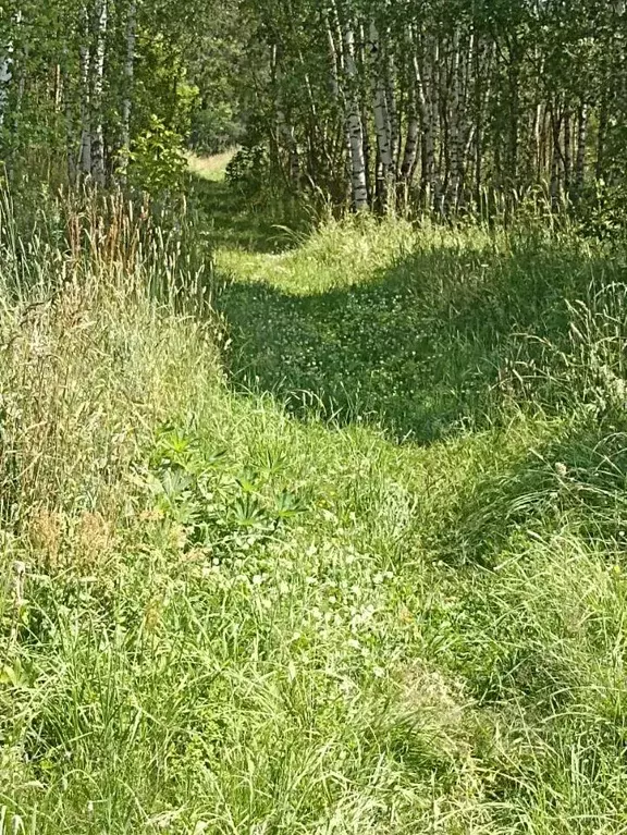 Участок, 25 сот., 0 - Фото 0