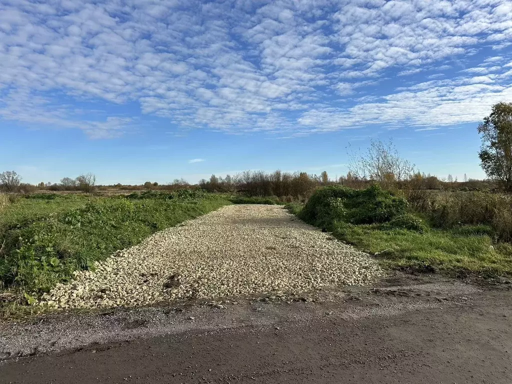 Участок в Ленинградская область, Гатчинский муниципальный округ, Ижора ... - Фото 2