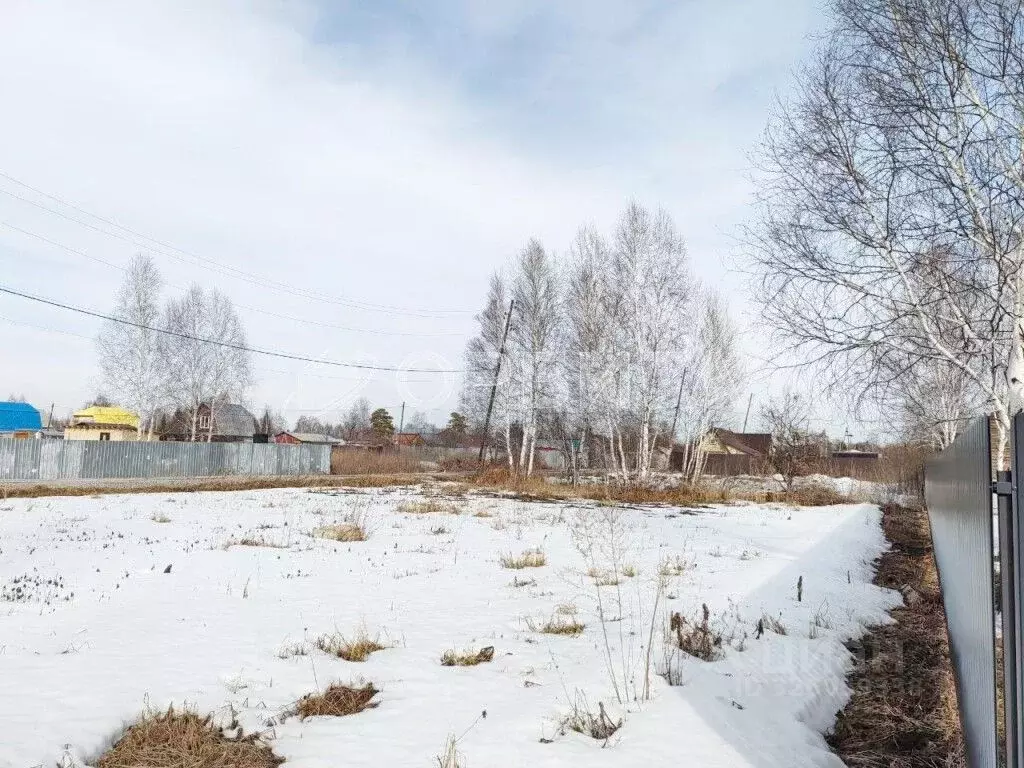 Участок в Тюменская область, Нижнетавдинский муниципальный округ, ... - Фото 1