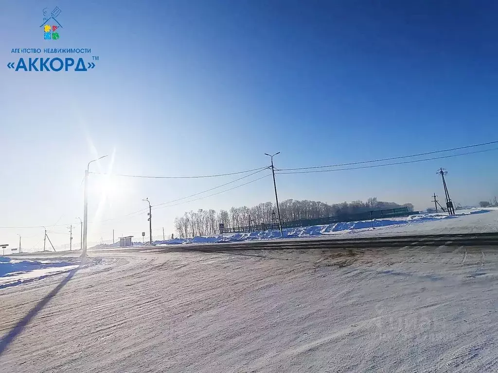 Участок в Алтайский край, Калманский район, с. Бураново  (160.0 сот.) - Фото 1