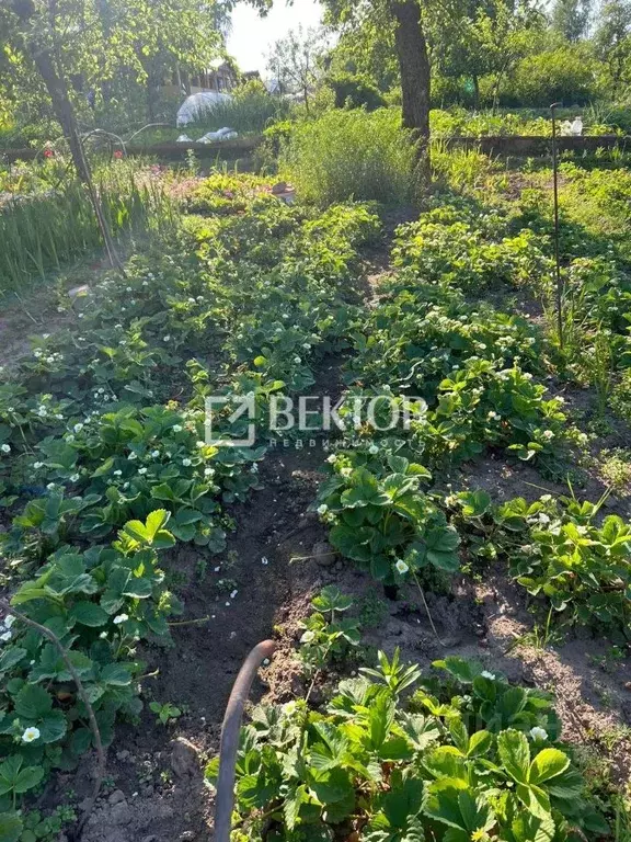Участок в Костромская область, Кострома Прогресс СНТ,  (7.1 сот.) - Фото 1