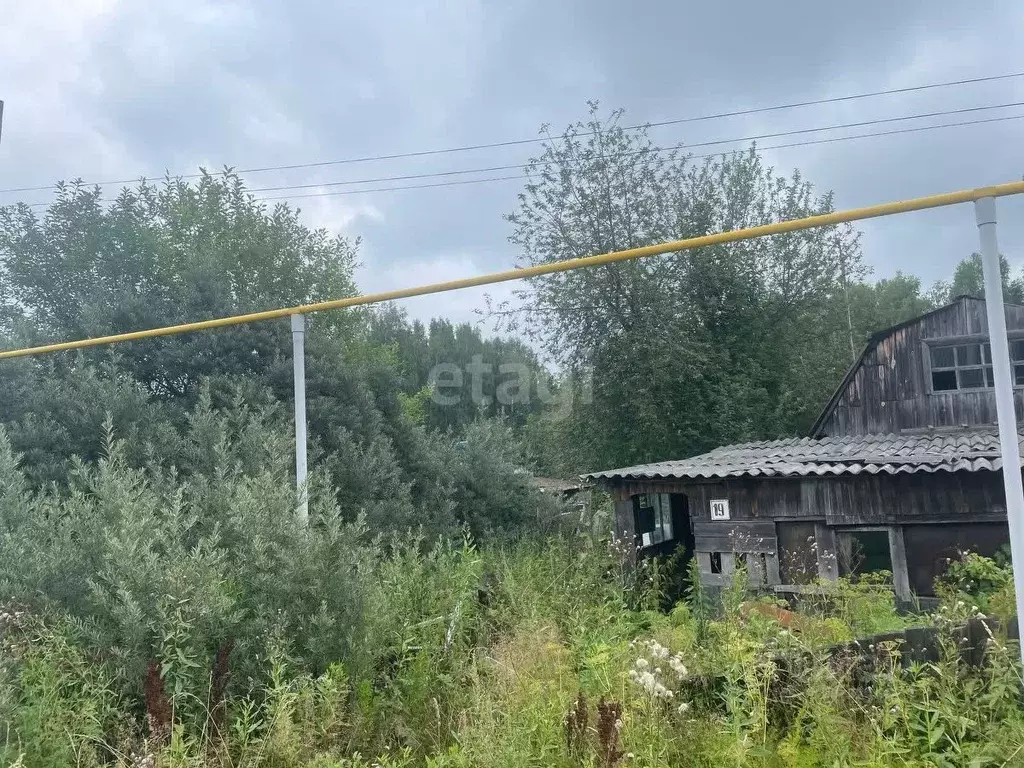 Участок в Томская область, с. Молчаново ул. Кооперативная (15.0 сот.) - Фото 1
