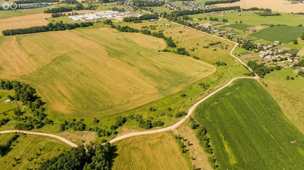Участок в село Архангельское, Бобровская улица, 39 (300 м) - Фото 1