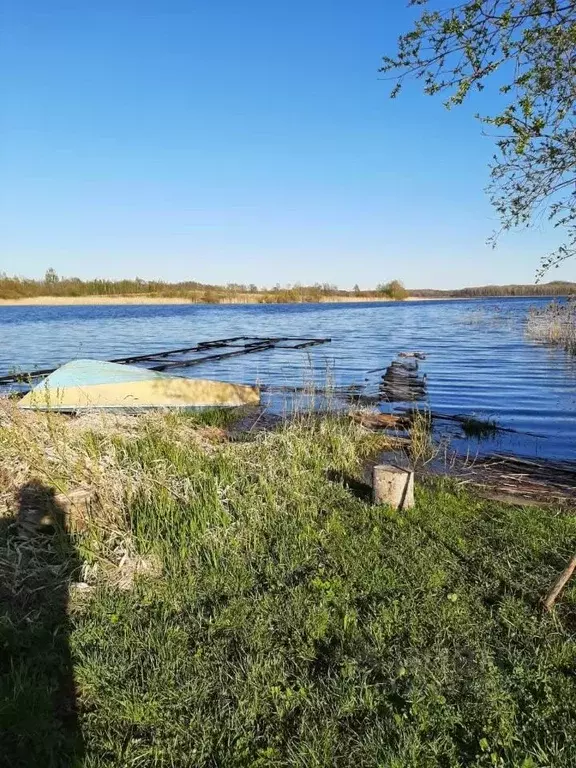 Участок в Псковская область, Дедовичский муниципальный округ, д. ... - Фото 1
