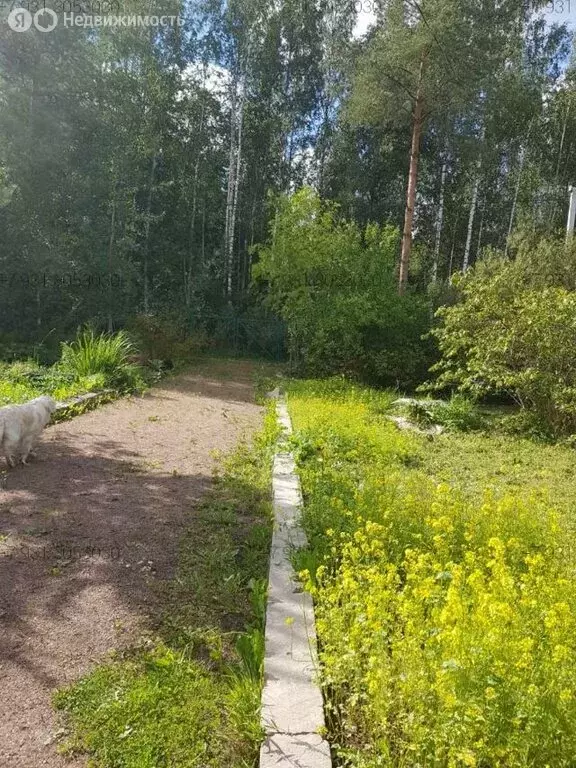 Участок в Ленинградская область, Гатчинский муниципальный округ, ... - Фото 1