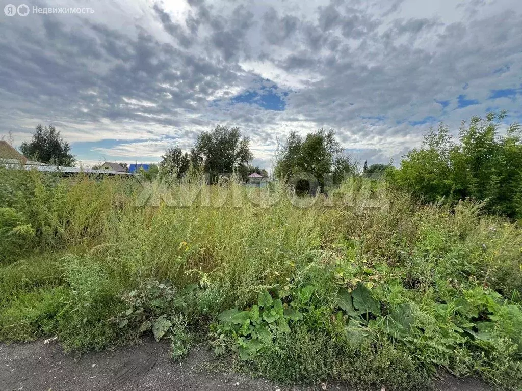 Участок в Черепаново, улица Карла Маркса (6 м) - Фото 2