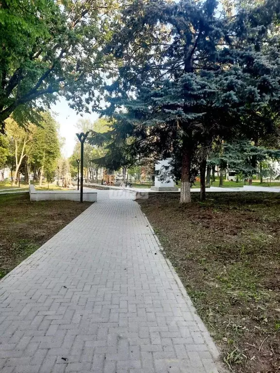 2-к кв. Костромская область, Кострома Советская ул., 92 (53.6 м) - Фото 2