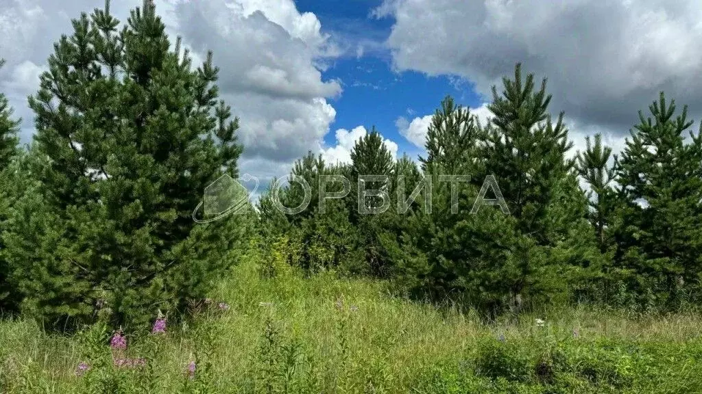 Участок в Тюменская область, Тюменский район, с. Каменка  (100.0 сот.) - Фото 0