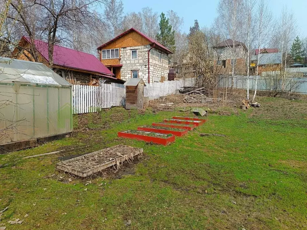 Участок в Новосибирская область, Новосибирск Дружба садовое ... - Фото 1