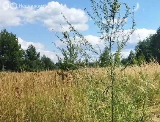 Участок в село Новоживотинное, Дорожная улица (23 м) - Фото 0