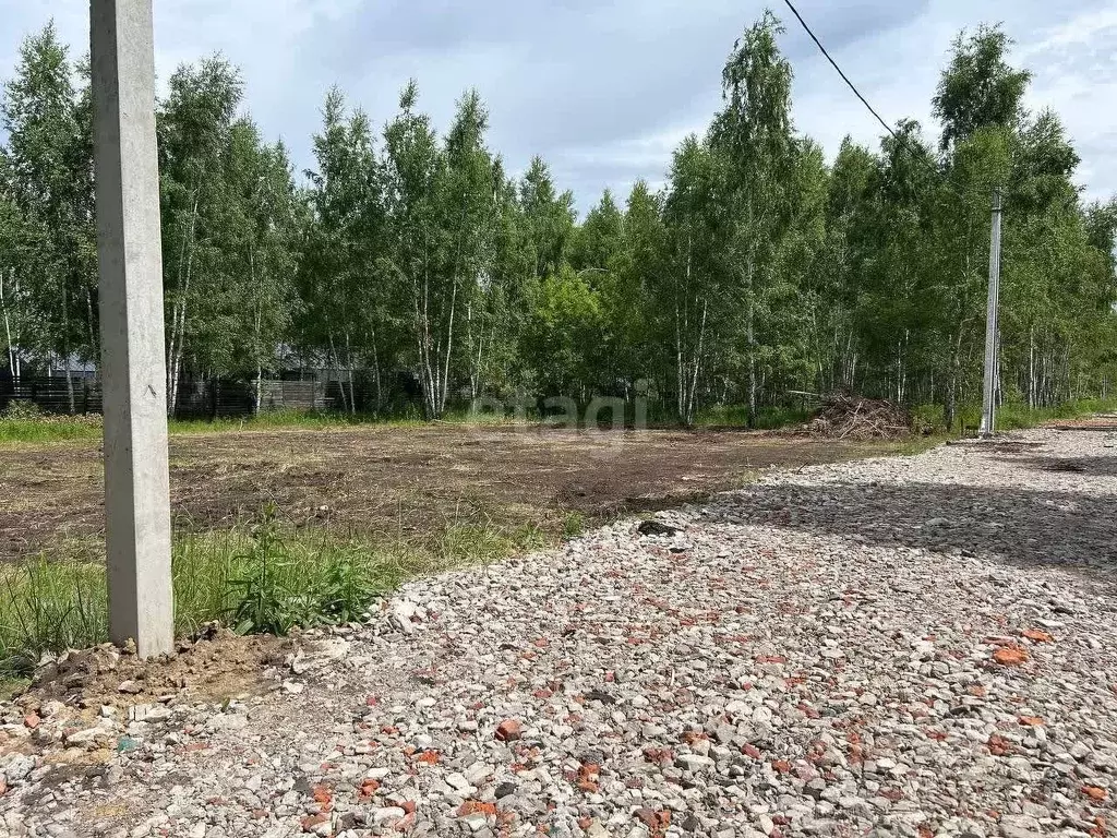 Участок в Воронежская область, Новоусманский район, с. Бабяково ул. ... - Фото 1