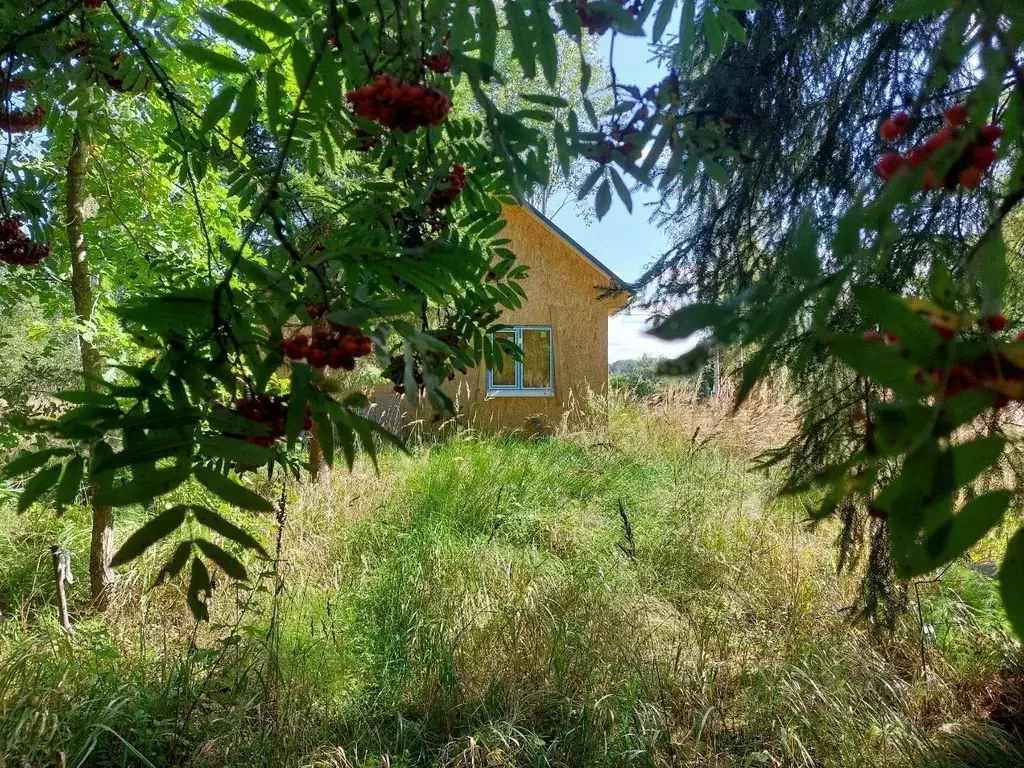 дом в ленинградская область, лужский район, толмачевское городское . - Фото 1