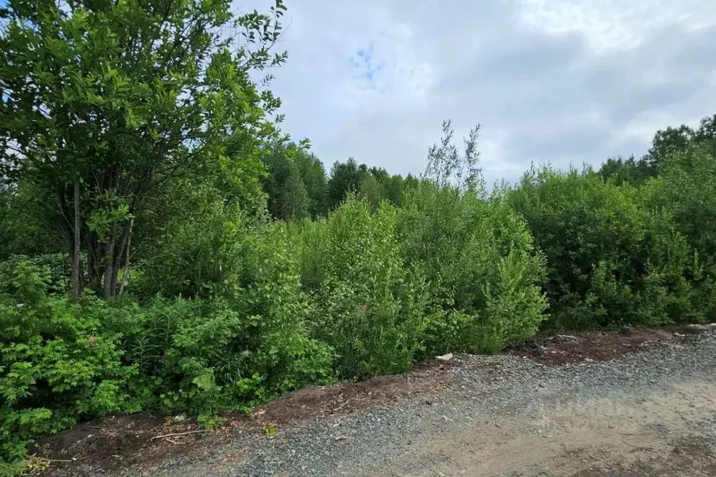 Участок в Ханты-Мансийский АО, Ханты-Мансийск Геофизик-2 СОТ, 124 ... - Фото 1