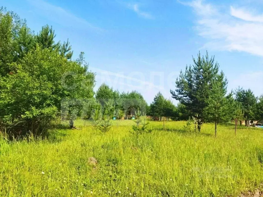 Участок в Севастополь СТ Дружба ТСН, 37А (5.0 сот.) - Фото 1