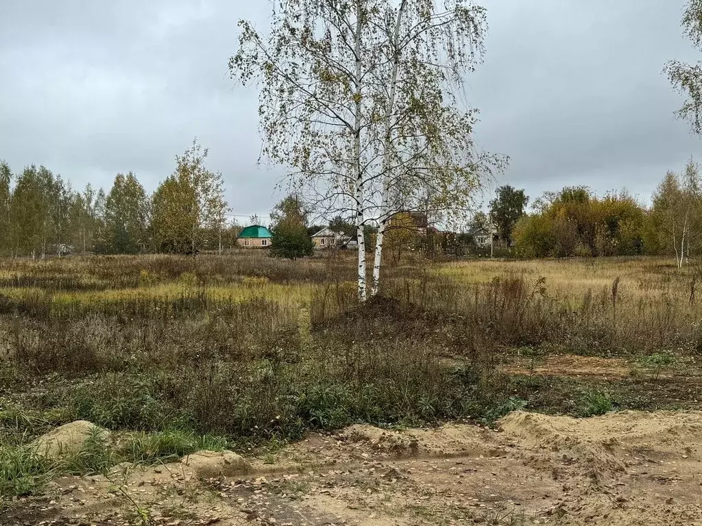 Участок в Московская область, Богородский городской округ, Обухово рп, ... - Фото 0