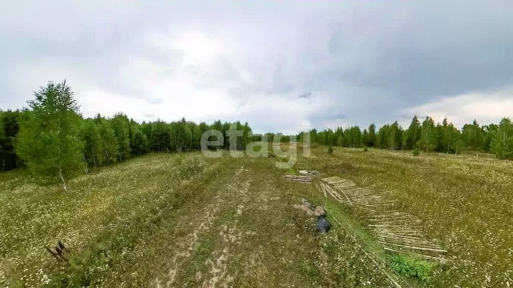 Участок в Тюменская область, Нижнетавдинский муниципальный округ, ... - Фото 1