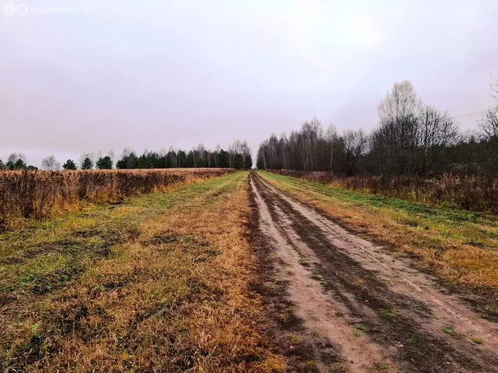Участок в Владимирская область, Киржачский муниципальный округ, ... - Фото 1