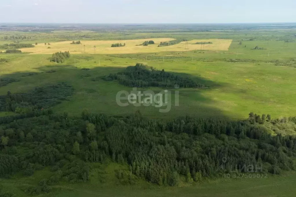 Участок в Тюменская область, Тюмень  (6.6 сот.) - Фото 1