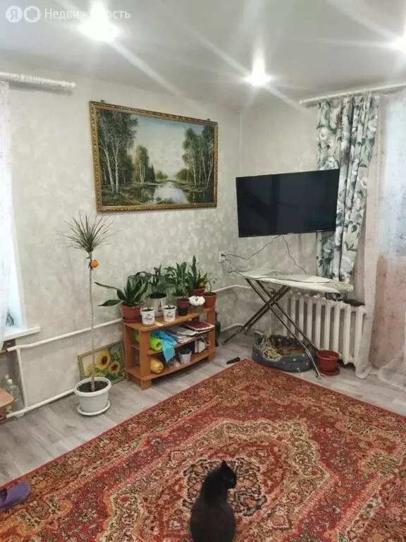 1-комнатная квартира: Томск, улица Пушкина, 52Б (25 м) - Фото 0