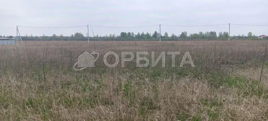 Участок в Тюменская область, Тюмень Яровское садовое товарищество, ул. ... - Фото 2