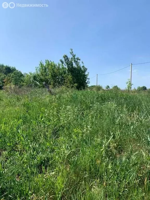 Участок в село Семилуки, Лесная улица (10000 м) - Фото 0
