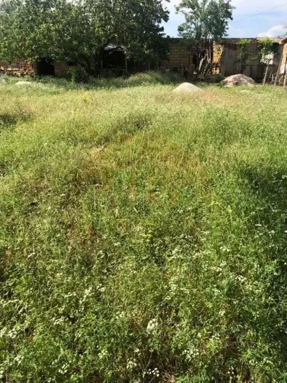 Участок в Крым, Сакский район, Новофедоровка пгт пер. Севастопольский ... - Фото 2