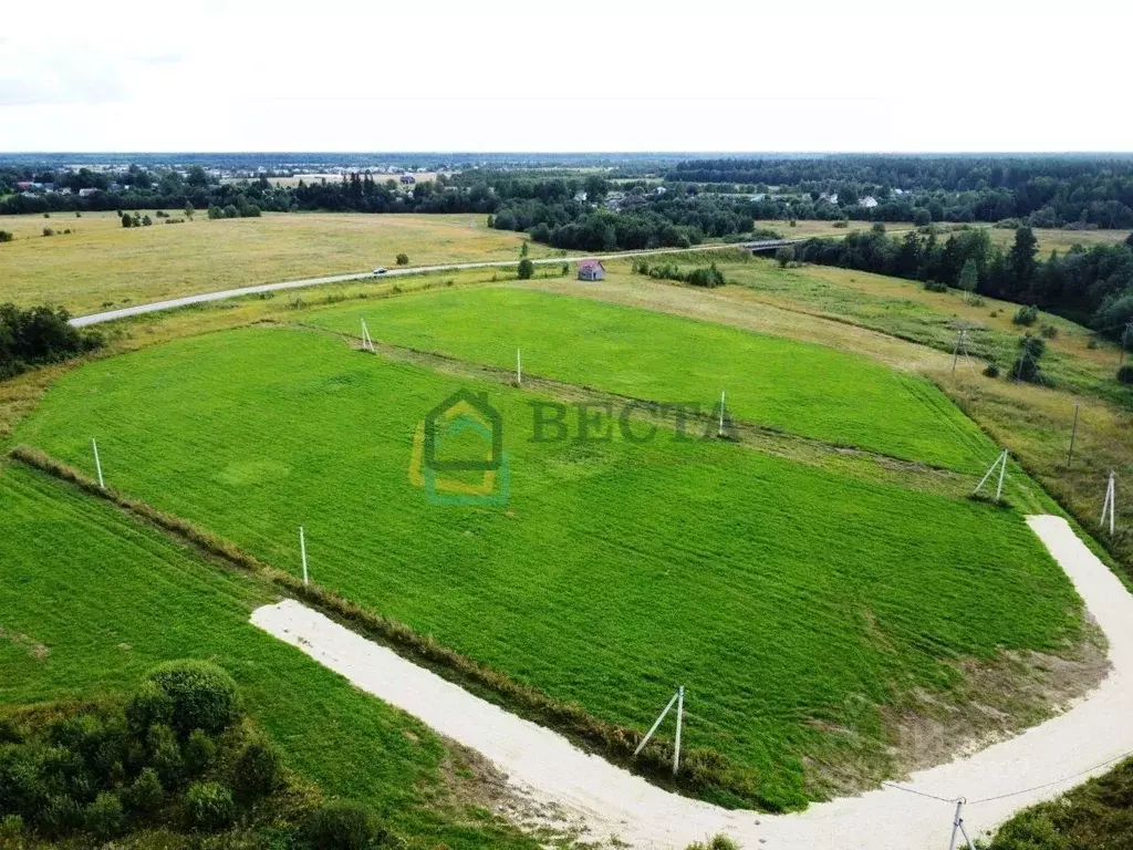 Участок в Ленинградская область, Гатчинский муниципальный округ, д. ... - Фото 2