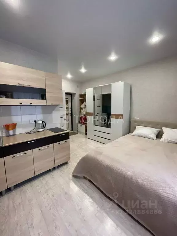 Студия Новосибирская область, Новосибирск Трудовая ул., 14 (23.0 м) - Фото 1