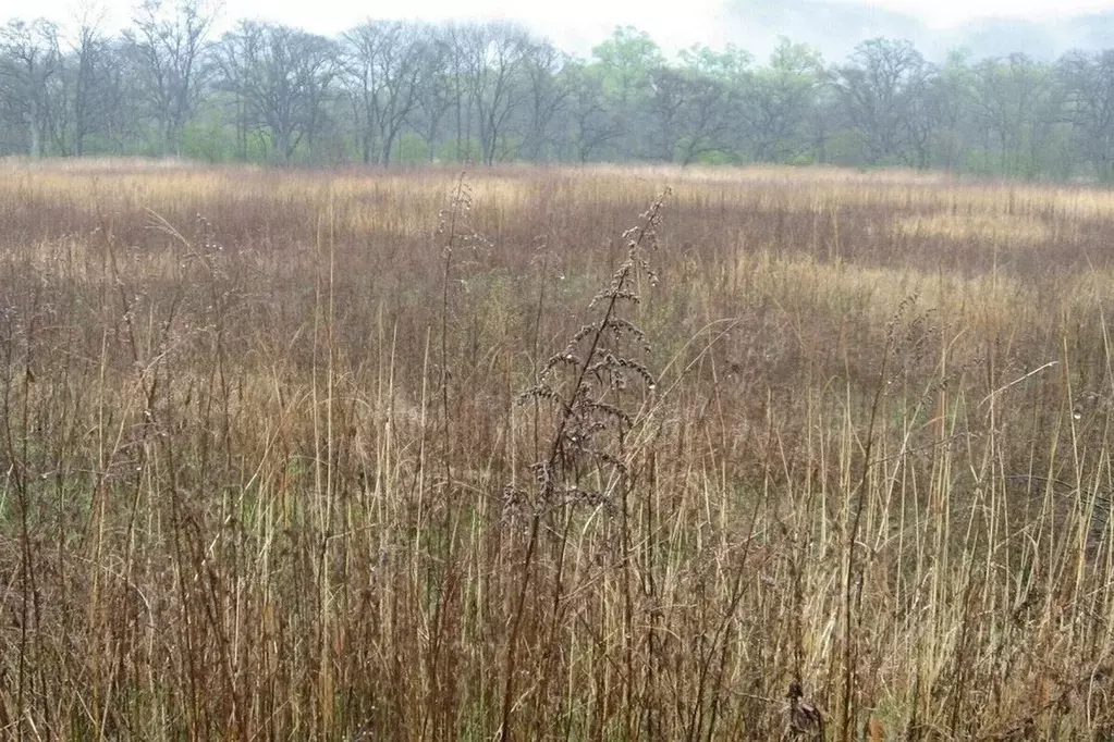 Участок в Севастополь с. Резервное, пер. Дружный (1.6 сот.) - Фото 2