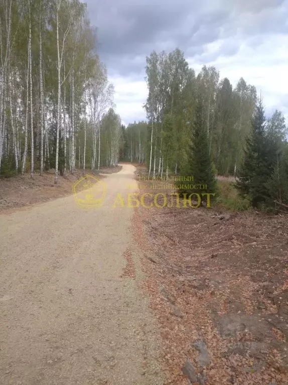 Участок в Свердловская область, Дегтярск ул. Солнечная (10.0 сот.) - Фото 0